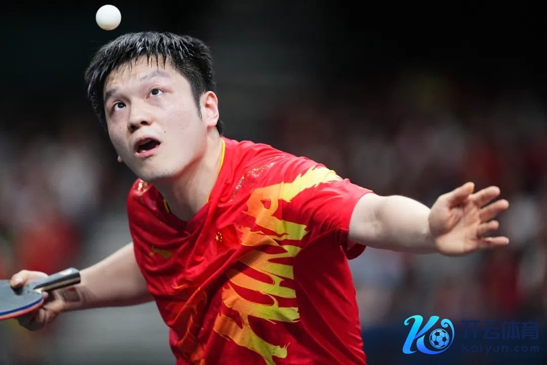 樊振东 图/中新社 赵文宇