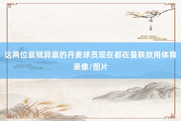 这两位禀赋异禀的丹麦球员现在都在曼联效用体育录像/图片