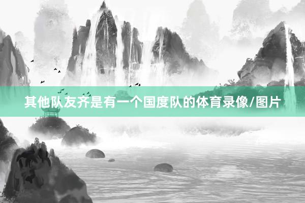 其他队友齐是有一个国度队的体育录像/图片
