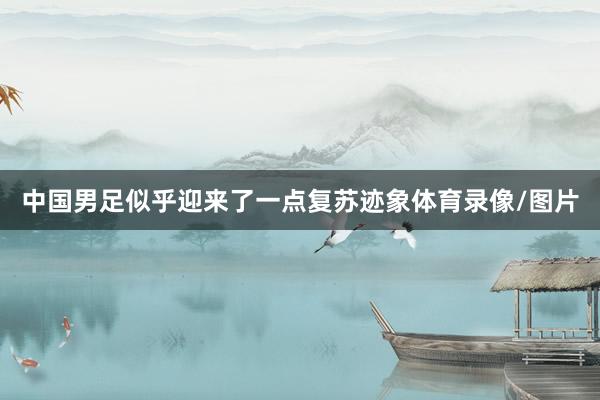 中国男足似乎迎来了一点复苏迹象体育录像/图片