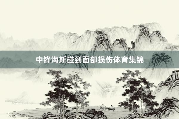 中锋海斯碰到面部损伤体育集锦