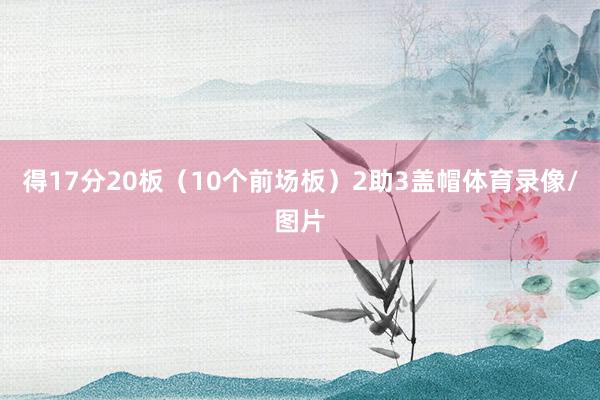 得17分20板（10个前场板）2助3盖帽体育录像/图片