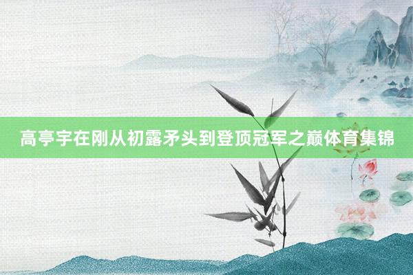 高亭宇在刚从初露矛头到登顶冠军之巅体育集锦