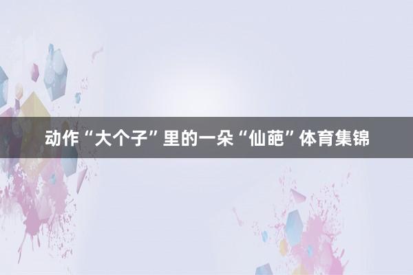 动作“大个子”里的一朵“仙葩”体育集锦