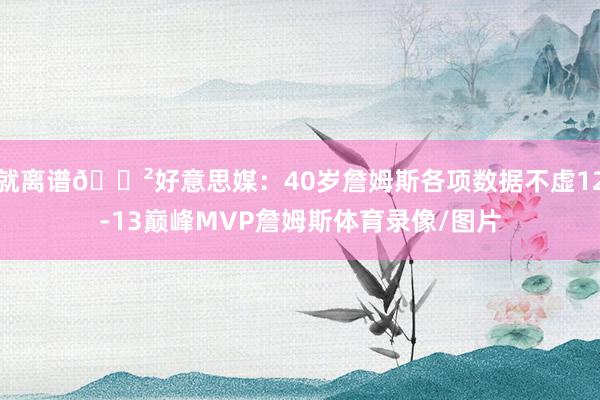 就离谱😲好意思媒：40岁詹姆斯各项数据不虚12-13巅峰MVP詹姆斯体育录像/图片