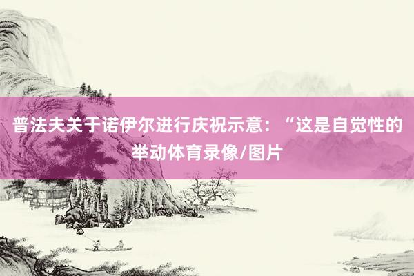 普法夫关于诺伊尔进行庆祝示意:“这是自觉性的举动体育录像/图片