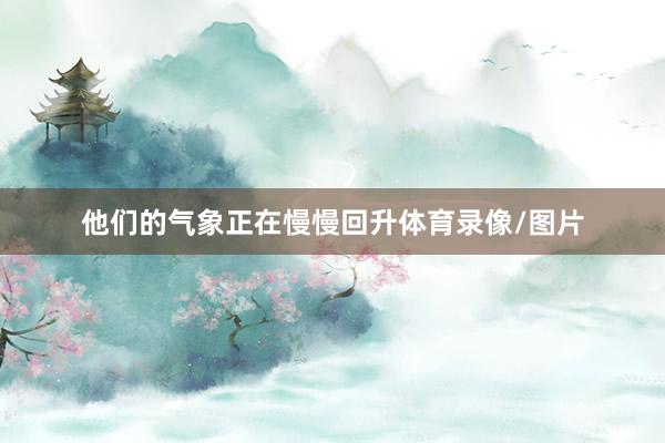 他们的气象正在慢慢回升体育录像/图片