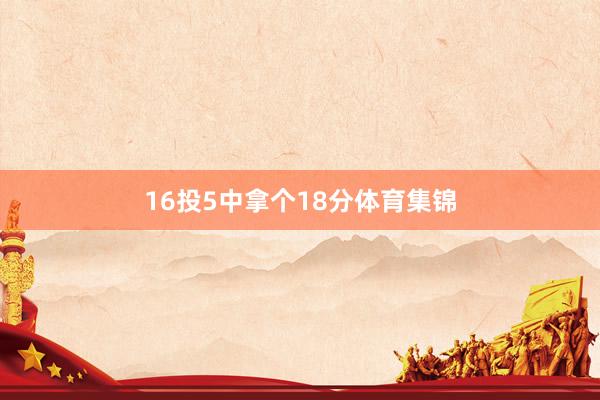 16投5中拿个18分体育集锦