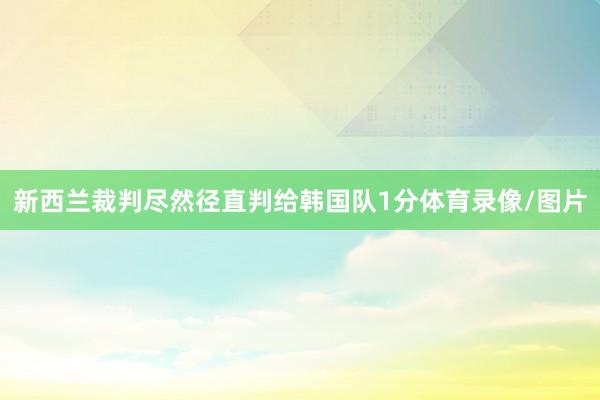 新西兰裁判尽然径直判给韩国队1分体育录像/图片