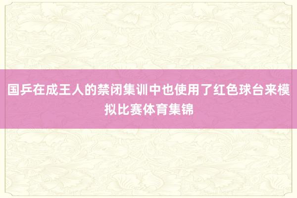 国乒在成王人的禁闭集训中也使用了红色球台来模拟比赛体育集锦