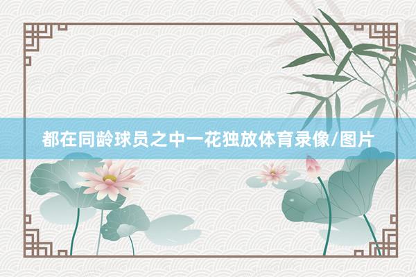 都在同龄球员之中一花独放体育录像/图片