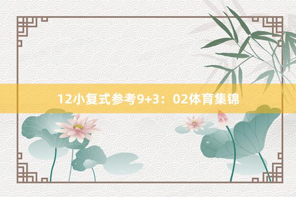 12　　小复式参考9+3：02体育集锦