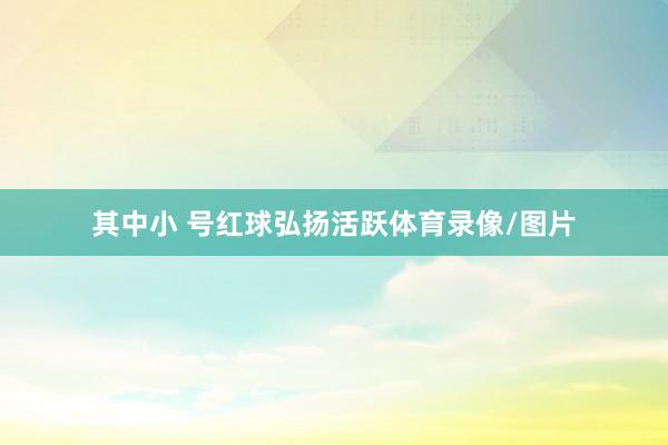 其中小 号红球弘扬活跃体育录像/图片