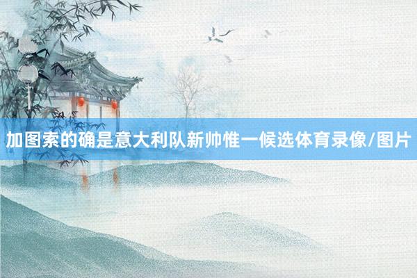 加图索的确是意大利队新帅惟一候选体育录像/图片