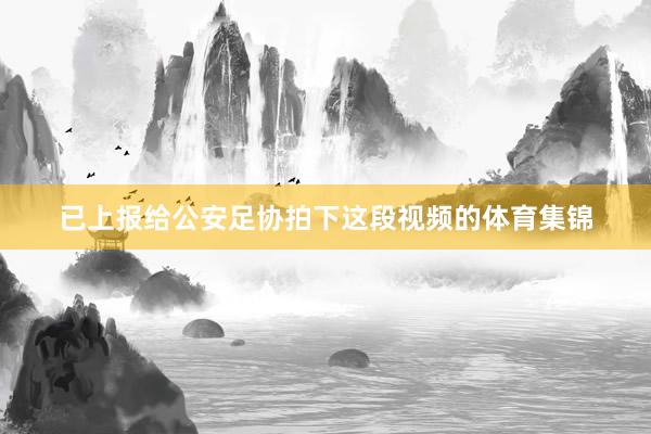 已上报给公安足协拍下这段视频的体育集锦