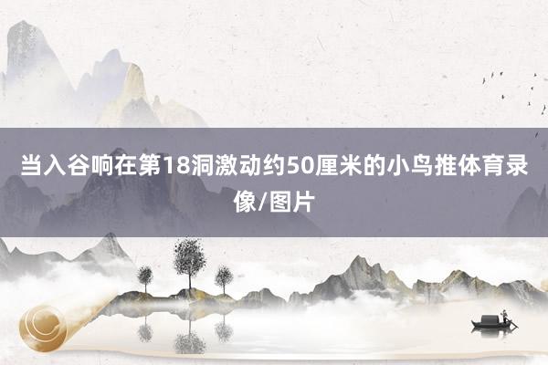 当入谷响在第18洞激动约50厘米的小鸟推体育录像/图片