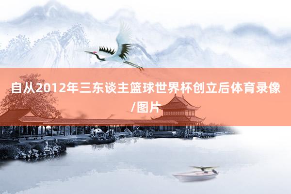 自从2012年三东谈主篮球世界杯创立后体育录像/图片