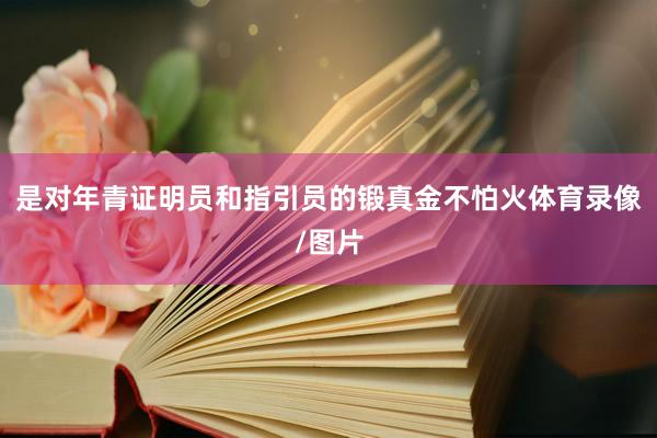 是对年青证明员和指引员的锻真金不怕火体育录像/图片