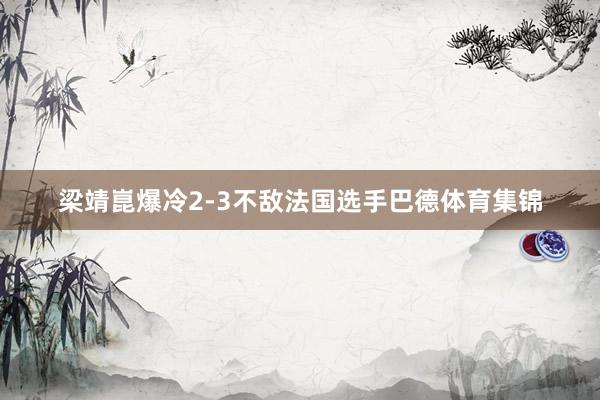 梁靖崑爆冷2-3不敌法国选手巴德体育集锦