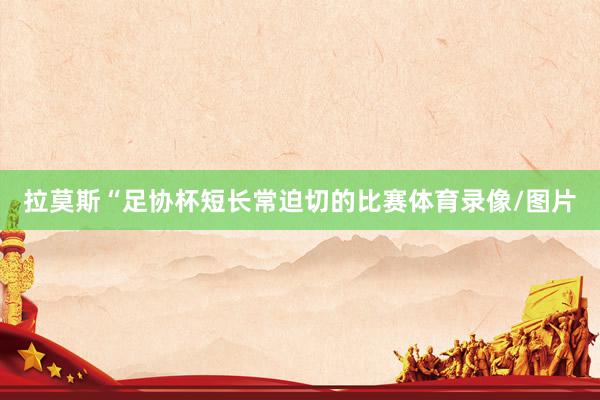 拉莫斯“足协杯短长常迫切的比赛体育录像/图片