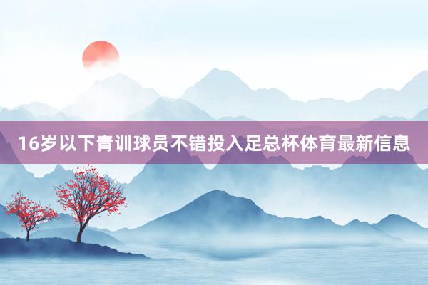 16岁以下青训球员不错投入足总杯体育最新信息