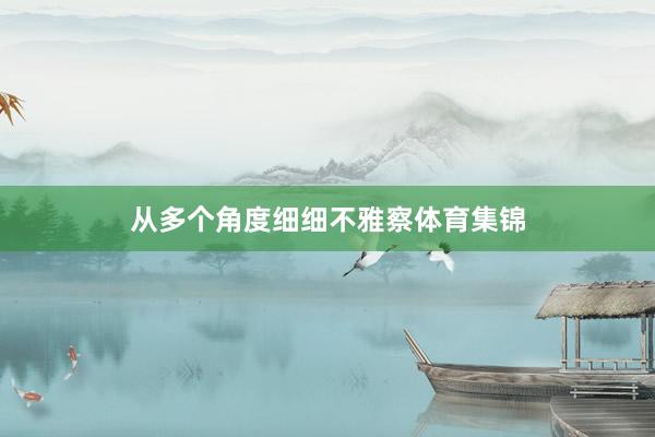 从多个角度细细不雅察体育集锦