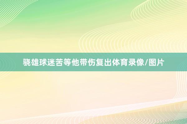 骁雄球迷苦等他带伤复出体育录像/图片