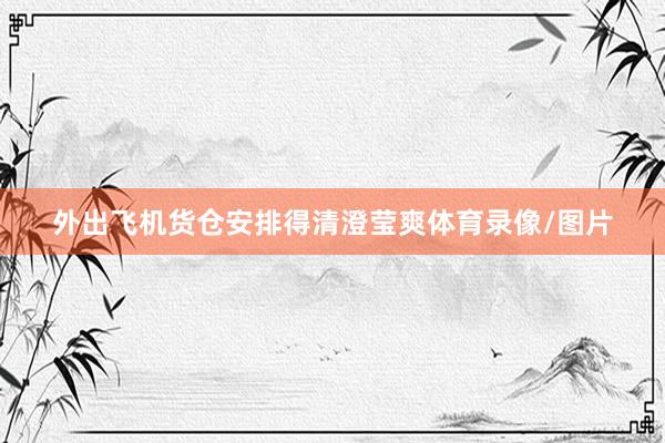 外出飞机货仓安排得清澄莹爽体育录像/图片