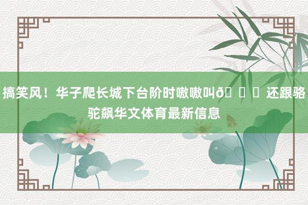 搞笑风！华子爬长城下台阶时嗷嗷叫😂还跟骆驼飙华文体育最新信息