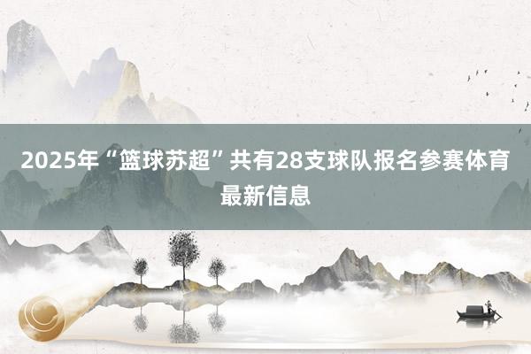 2025年“篮球苏超”共有28支球队报名参赛体育最新信息