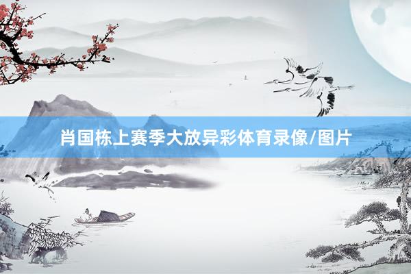 肖国栋上赛季大放异彩体育录像/图片