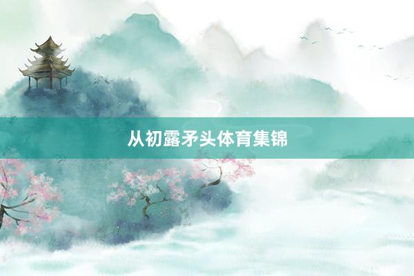 从初露矛头体育集锦
