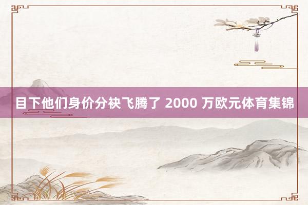 目下他们身价分袂飞腾了 2000 万欧元体育集锦