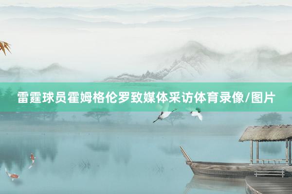 雷霆球员霍姆格伦罗致媒体采访体育录像/图片