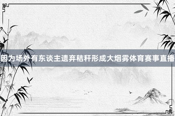 因为场外有东谈主遗弃秸秆形成大烟雾体育赛事直播
