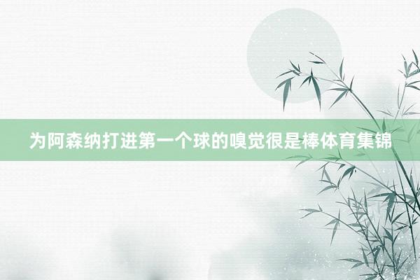 为阿森纳打进第一个球的嗅觉很是棒体育集锦