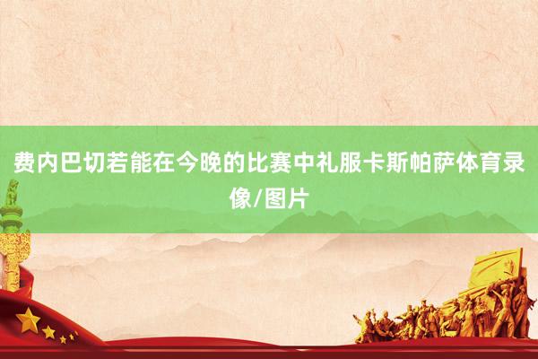 费内巴切若能在今晚的比赛中礼服卡斯帕萨体育录像/图片