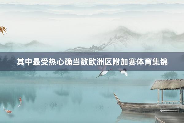 其中最受热心确当数欧洲区附加赛体育集锦