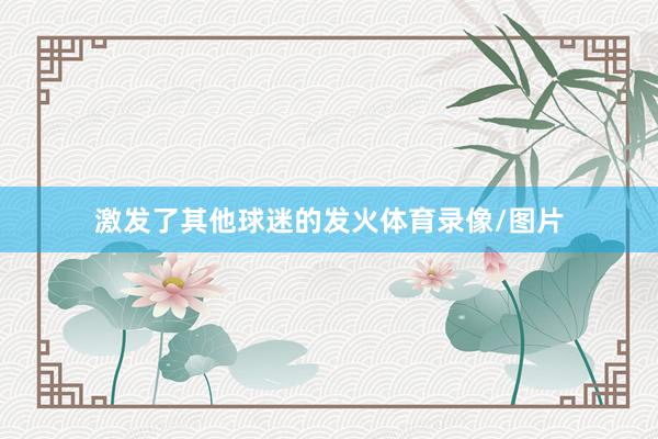 激发了其他球迷的发火体育录像/图片