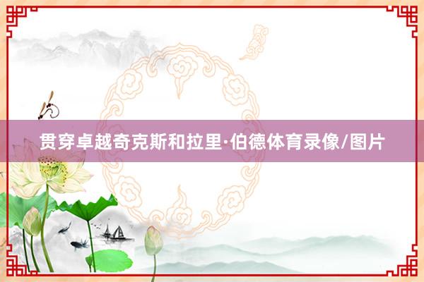 贯穿卓越奇克斯和拉里·伯德体育录像/图片