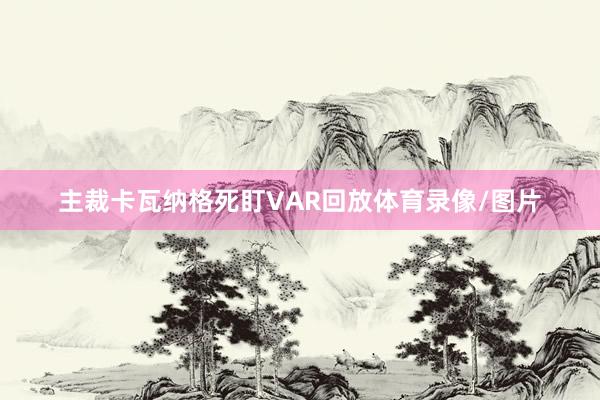 主裁卡瓦纳格死盯VAR回放体育录像/图片