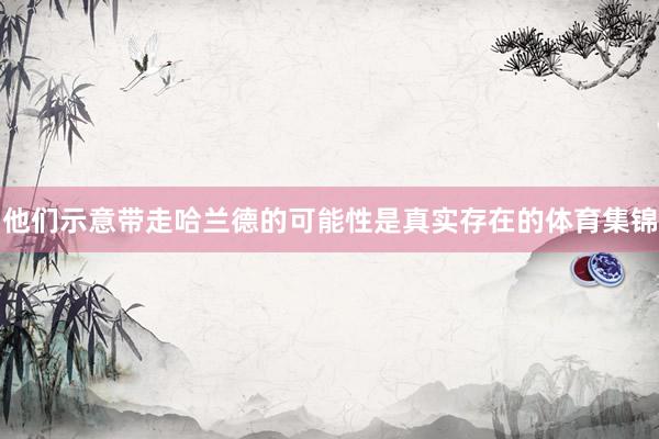 他们示意带走哈兰德的可能性是真实存在的体育集锦
