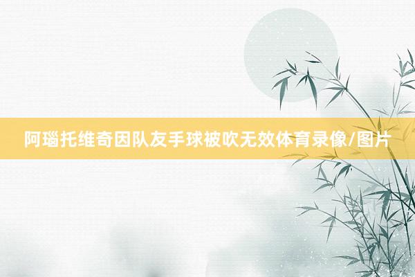 阿瑙托维奇因队友手球被吹无效体育录像/图片
